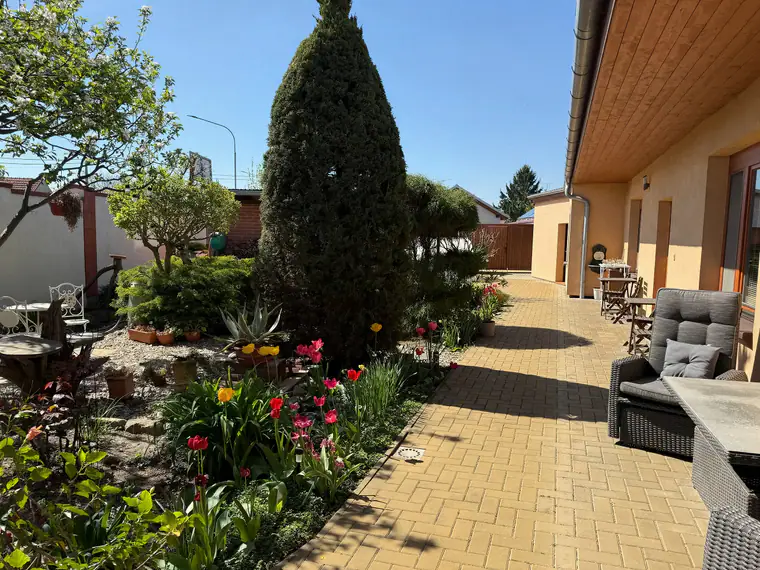 Terrasse der Apartmány Valet mit blühenden Tulpen