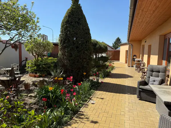 Terasa — kvetoucí tulipány a cypřiš
